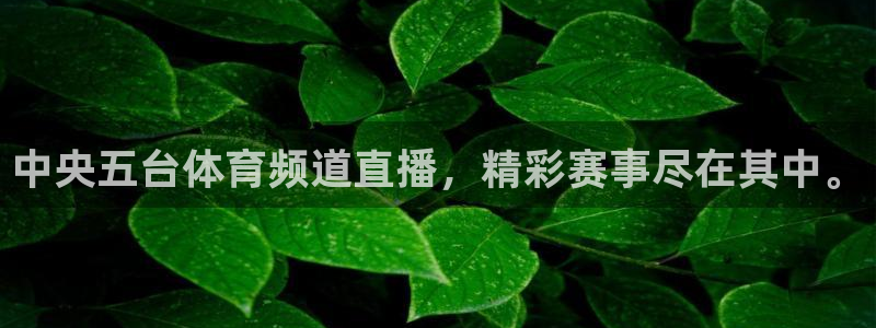 中央五台体育频道直播，精彩赛事尽在其中。