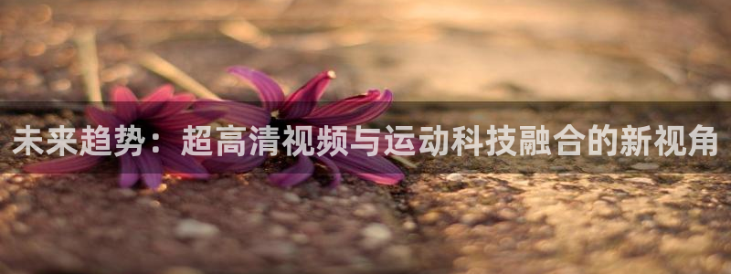 未来趋势：超高清视频与运动科技融合的新视角