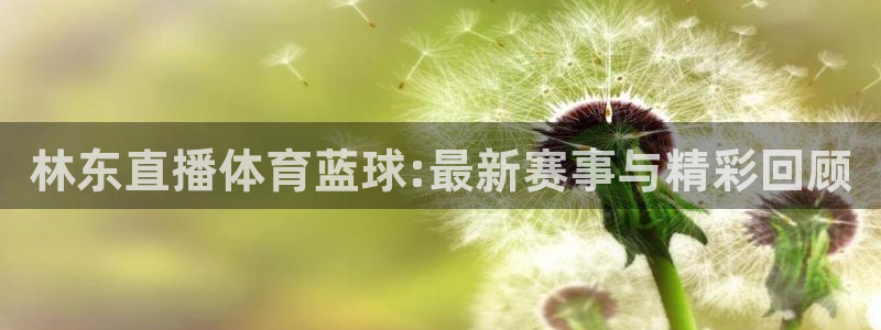 林东直播体育蓝球:最新赛事与精彩回顾