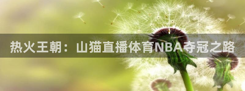 热火王朝：山猫直播体育NBA夺冠之路