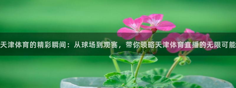 天津体育的精彩瞬间：从球场到观赛，带你领略天津体育直播的无限可能