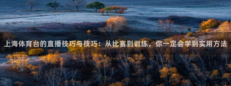 上海体育台的直播技巧与技巧：从比赛到训练，你一定会学到实用方法