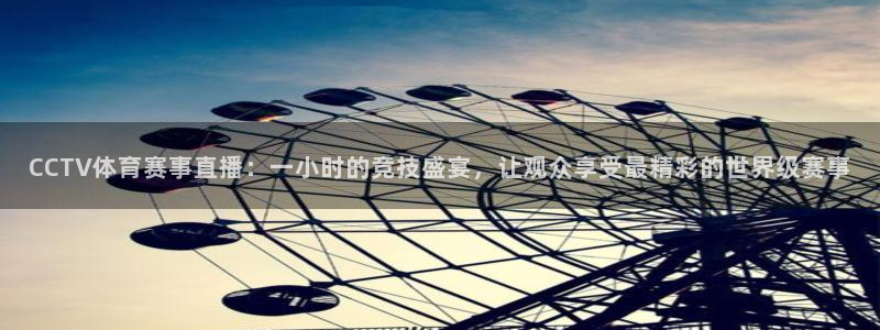 CCTV体育赛事直播：一小时的竞技盛宴，让观众享受最精彩的世界级赛事