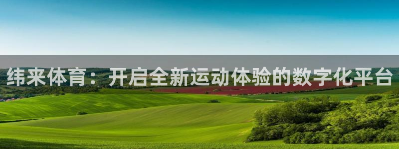 纬来体育：开启全新运动体验的数字化平台