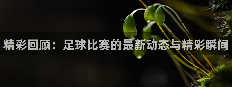 精彩回顾：足球比赛的最新动态与精彩瞬间